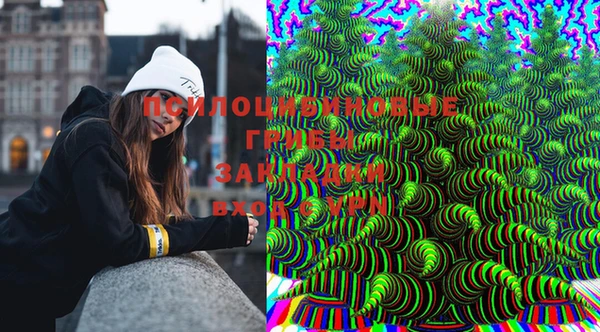 МДПВ Гусь-Хрустальный