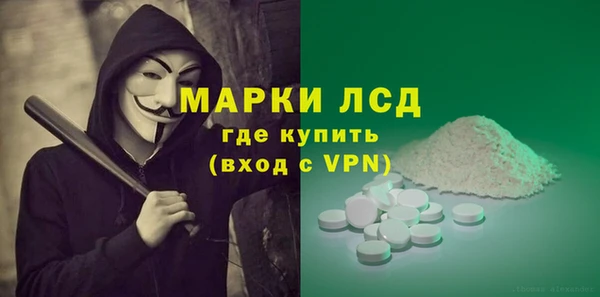 apvp Гусев