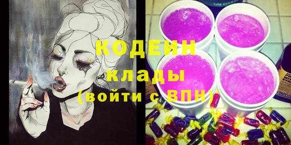 индика Чегем