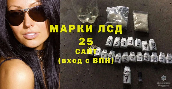 apvp Гусев