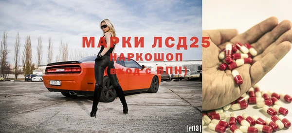 apvp Гусев