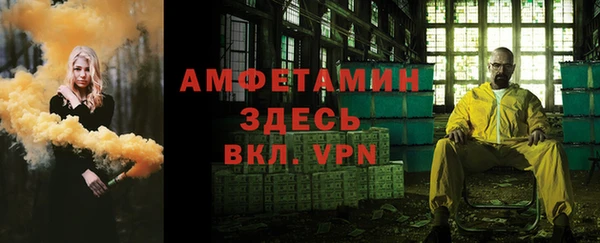 ПСИЛОЦИБИНОВЫЕ ГРИБЫ Чекалин
