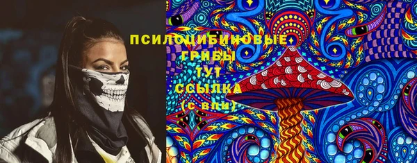 spice Гусиноозёрск