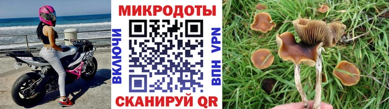Псилоцибиновые грибы GOLDEN TEACHER Давлеканово